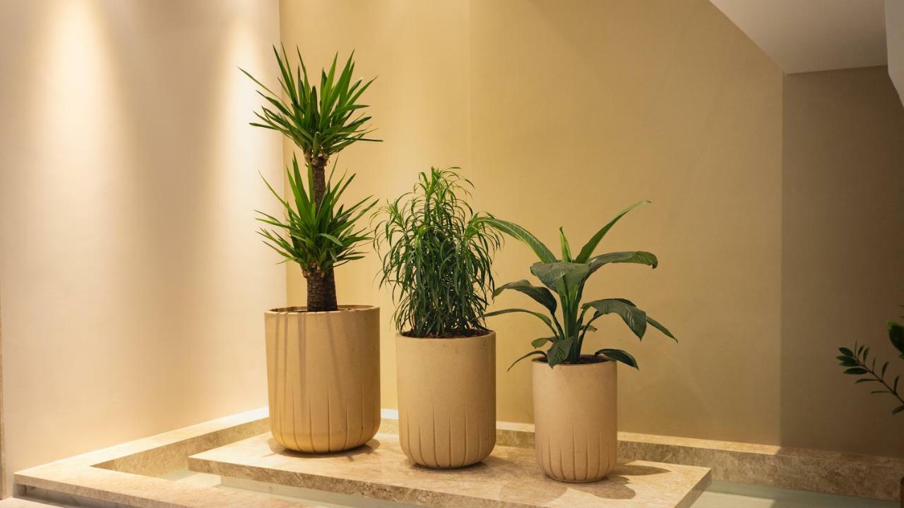 Vie Hotel 锡诺普 外观 照片